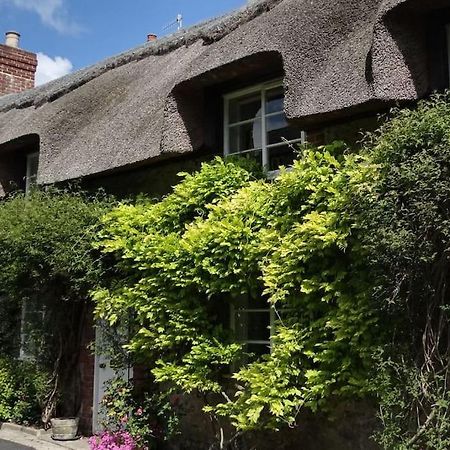 Little Thatch Cottage - Cerne Abbas, Dorset Eksteriør bilde
