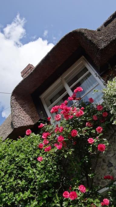 Little Thatch Cottage - Cerne Abbas, Dorset Eksteriør bilde