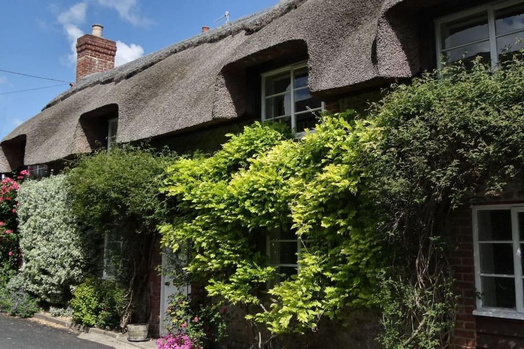 Little Thatch Cottage - Cerne Abbas, Dorset Eksteriør bilde
